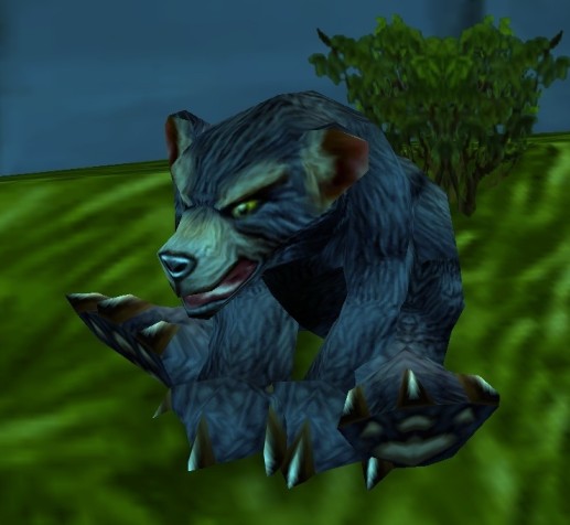 Dun Morogh Cub